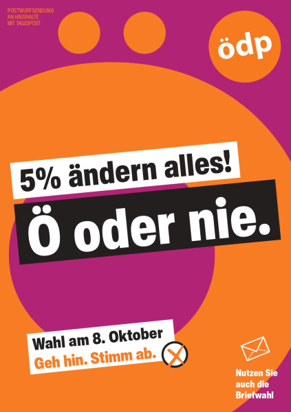 Stimmkreisflyer in mittlerer Auflage