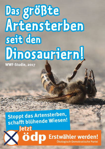 Themenplakat Artenvielfalt Pappe Doppel-A1