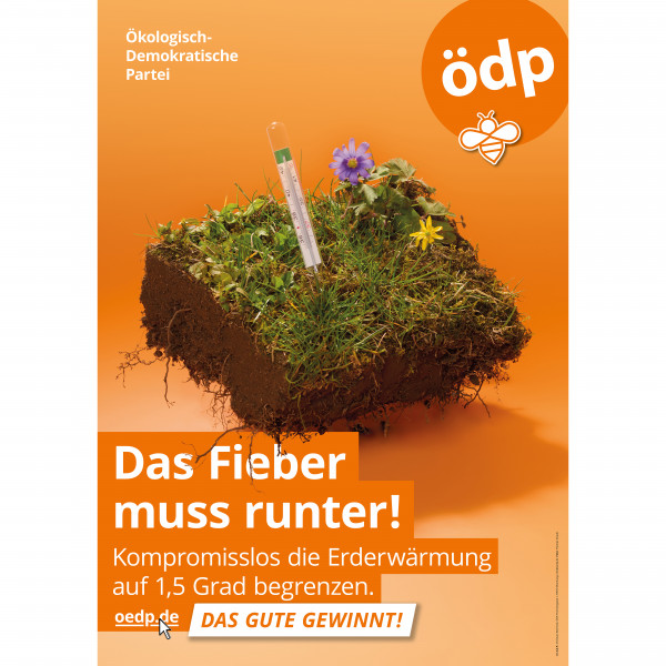 A1 Hohlkammer-Plakat "Das Fieber muss runter!"