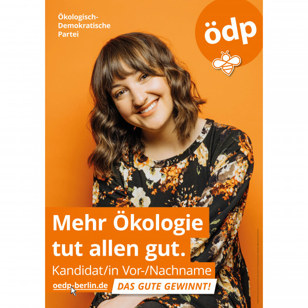 BTW Kandidatenplakat