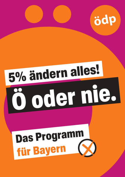Das Landtagswahlprogramm - 5 % ändern alles!