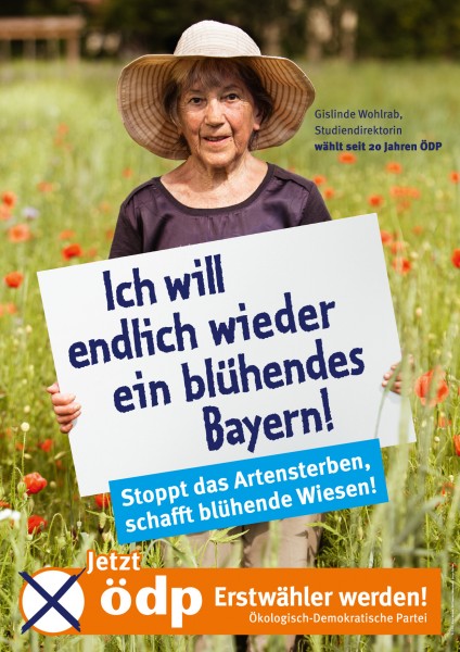 Erstwählerplakat "Blühendes Bayern" Pappe Doppel-A1